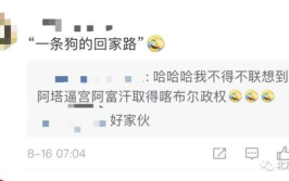 中央电视台6套在线直播,影视盛宴，精彩不断