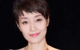 马伊琍个人简介,从影视新星到家庭支柱，她的成长之路