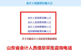 山东会计信息,助力区域经济腾飞