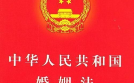 新婚姻法司法解释一,全面解读婚姻财产分割与子女抚养新规