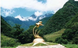 青川旅游攻略景区推荐理由有哪些,探寻自然奇观与历史遗迹的完美融合